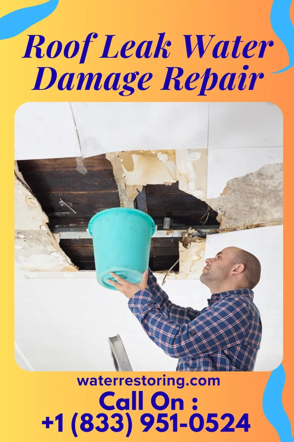 Roof Leak Water Damage Repair in Empire, OH