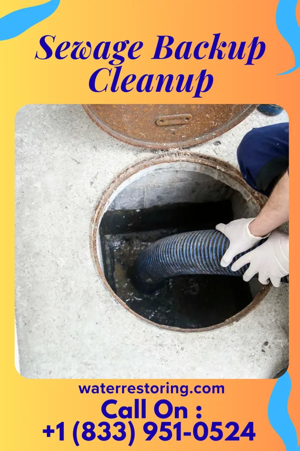 Sewage Backup Cleanup in Empire, OH